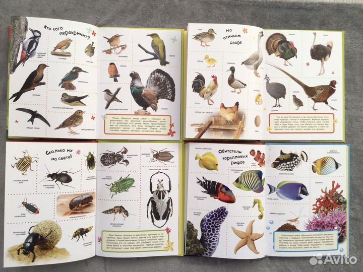 Книги для детей(Энциклопедия для малышей) росмэн