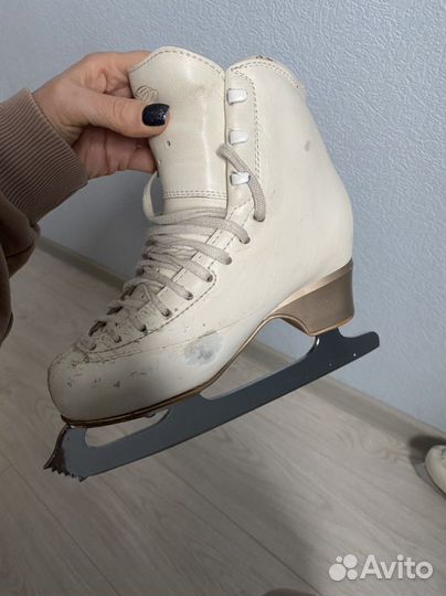 Коньки edea chorus 230