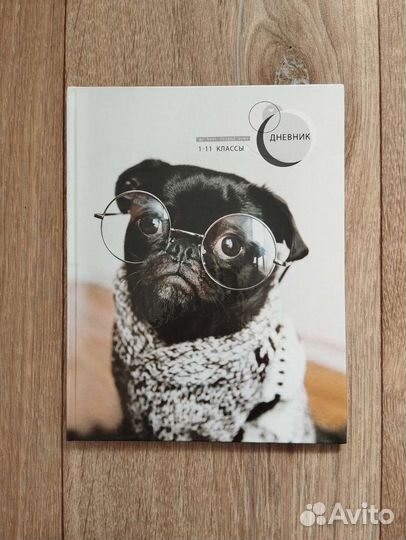 Дневник школьный