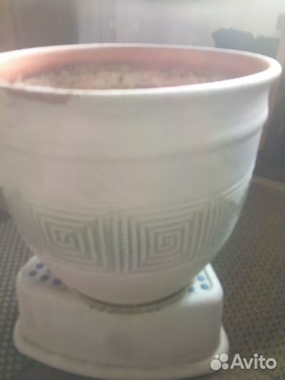 Кашпо -горшок для цветов