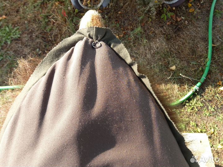 Медведь шкура