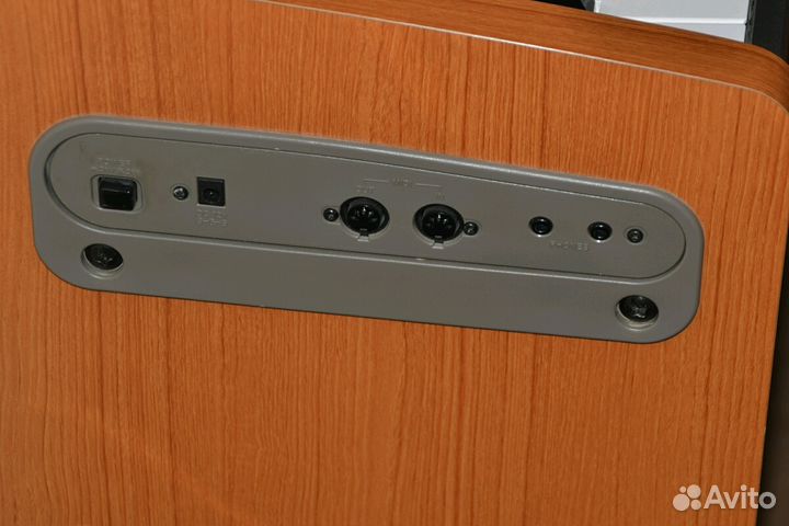 Пианино Casio Privia PX-100