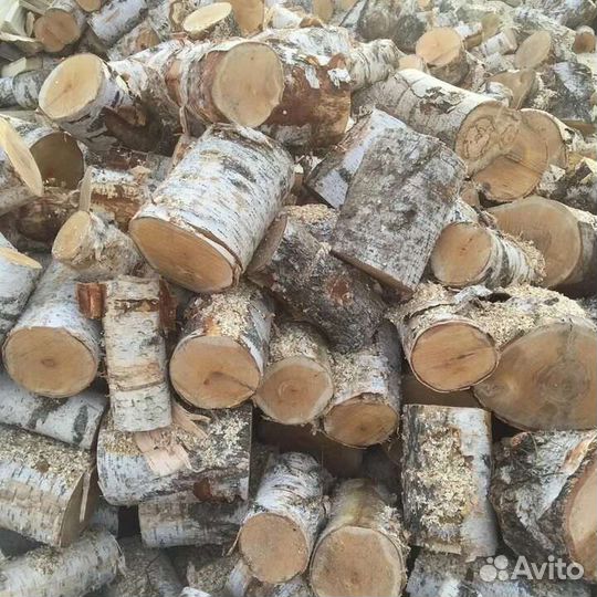 Дрова берёза