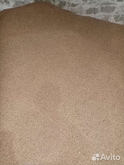 Пшеница Ячмень