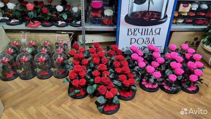 Цветы оптом и в розницу