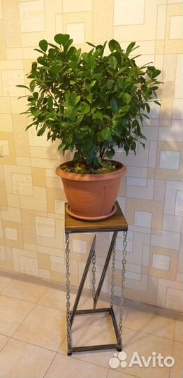 Подставка для цветов