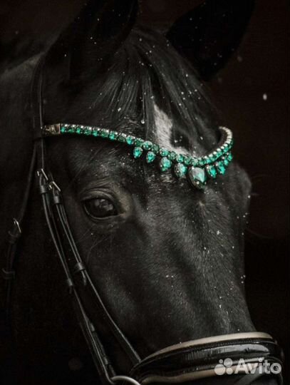 Налобник для лошади