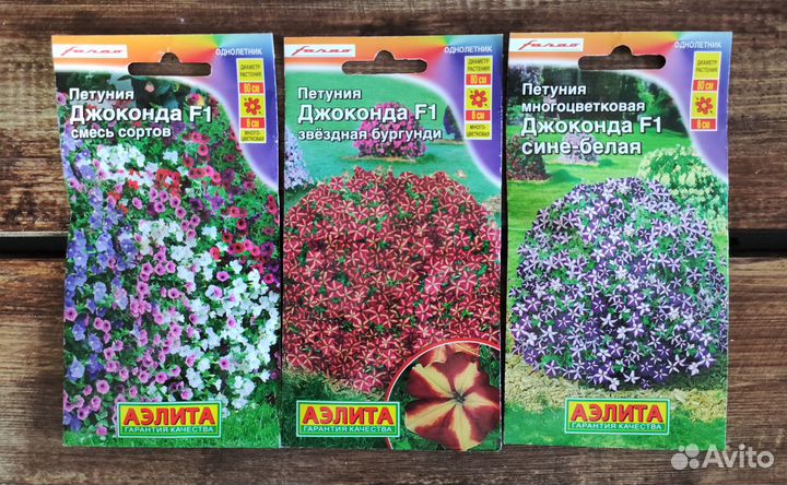 Семена Петунии