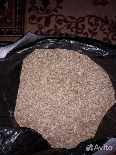 Семена для газона