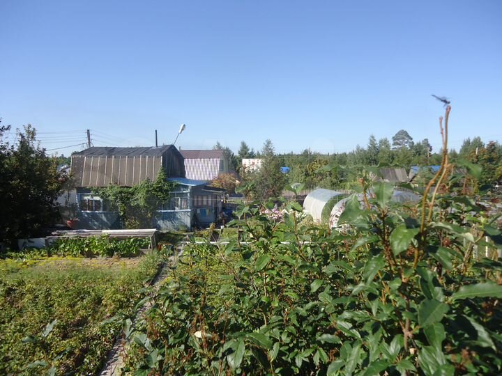 Дача 36 м² на участке 8 сот.