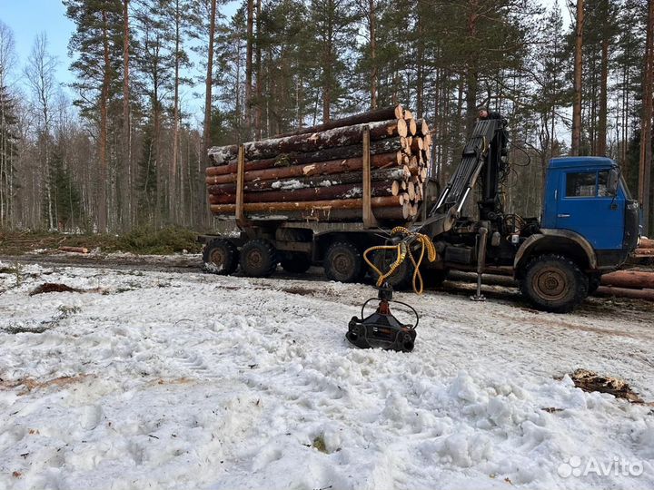 Деловой лес