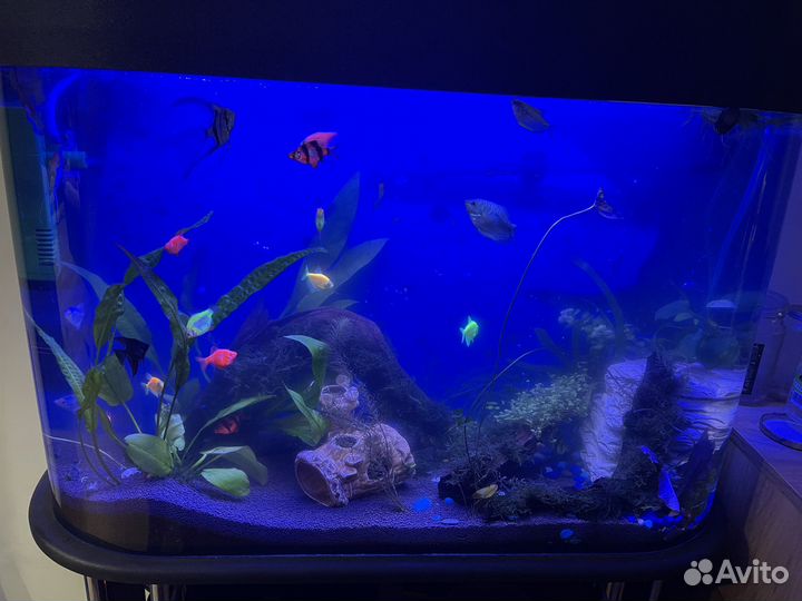 Аквариум 130 литртв