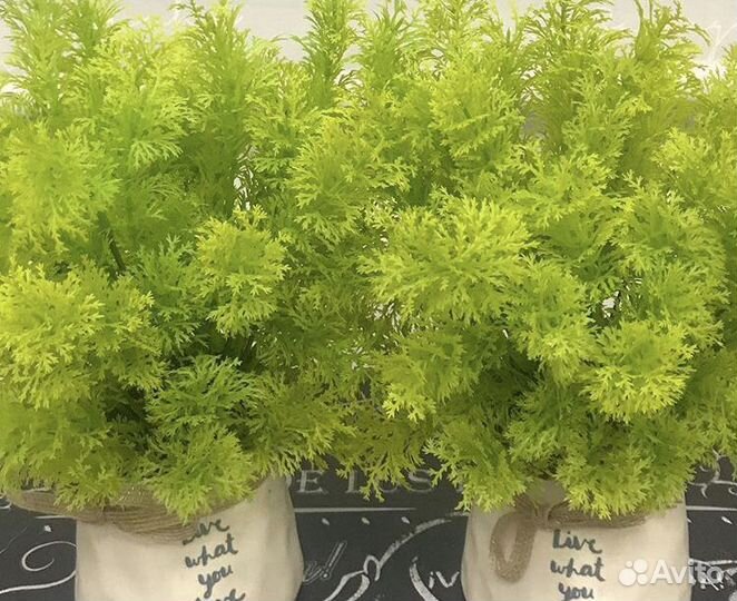 Декор для дома