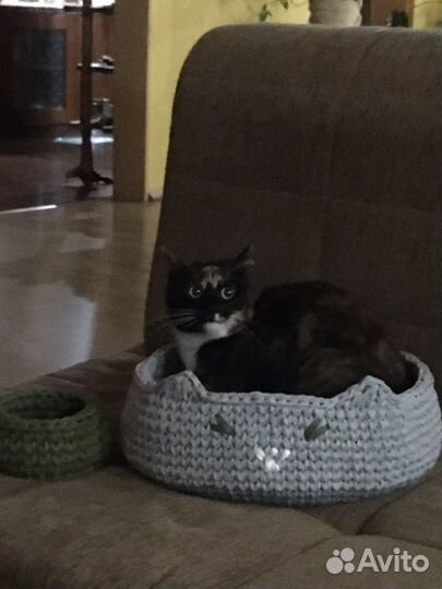 Лежак для кошки
