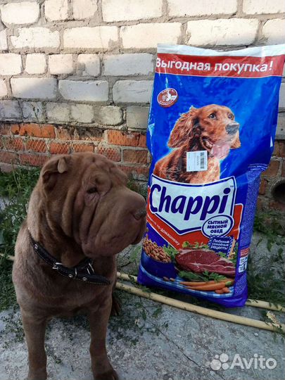 Корм для кошек и собак