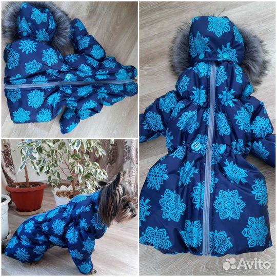 Одежда для собак