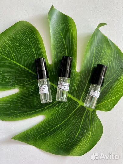 Отливанты Kenzo, Juliette Has