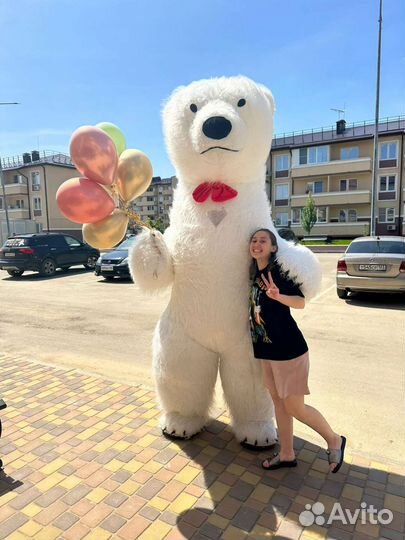 Большой Белый Мишка аниматор