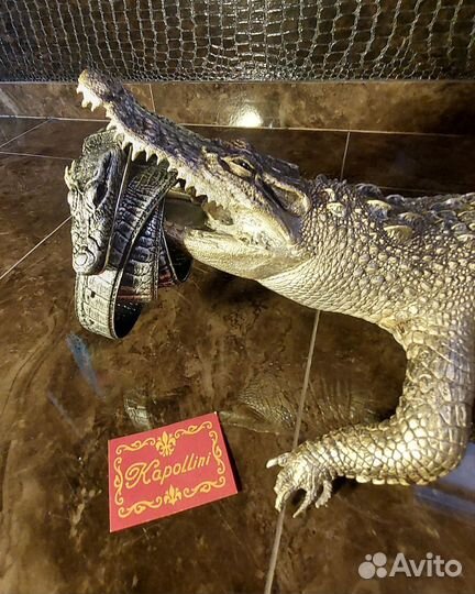 Серебряное чучело крокодила с Золотыми зубами