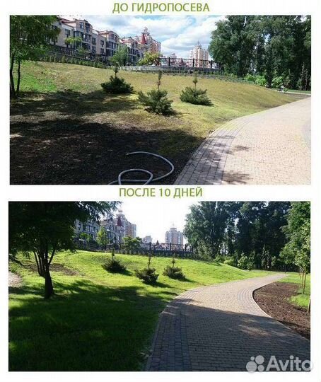 Гидропосев газона