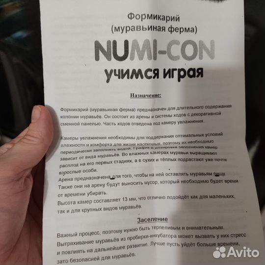 Муравьиная ферма новая