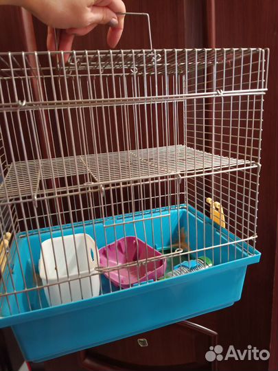 Клетка для хомяка бу