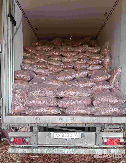 Кора лиственницы