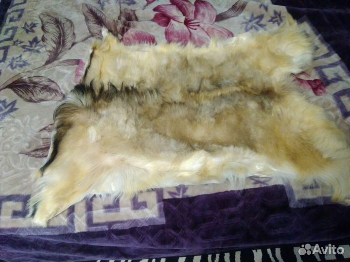 Продам овечью шкуру