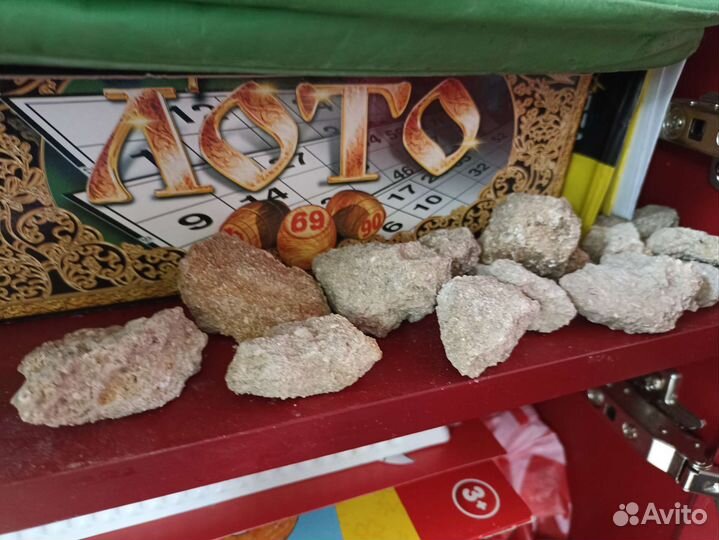 Окаменелости членики лилии 320 млн лет