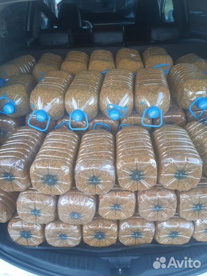 Пыльца пчелиная, оптом