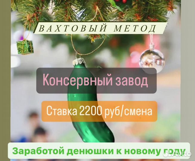 Вахта разнорабочим на консервном заводе к нг
