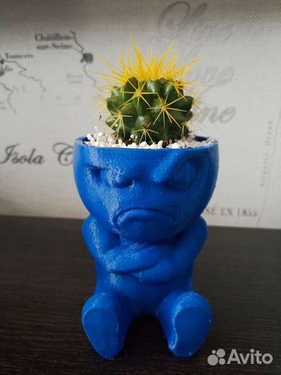 Кашпо Кактус