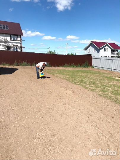 Посевной газон