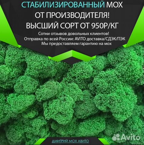 Стабилизированный мох ягель для панно