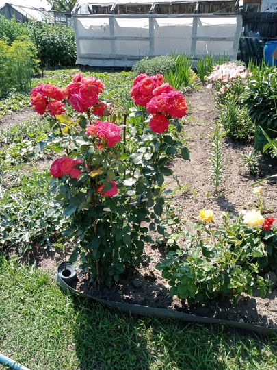 Дача 15 м² на участке 10 сот.