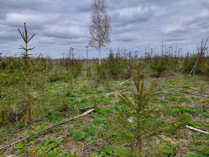 Участок 7,7 га (СНТ, ДНП)