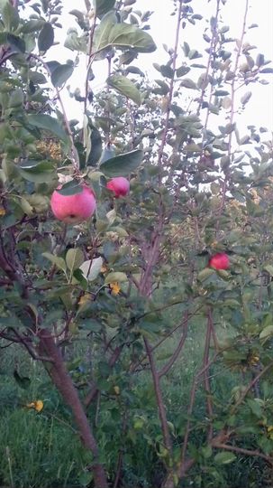 Дом 163 м² на участке 25 сот.