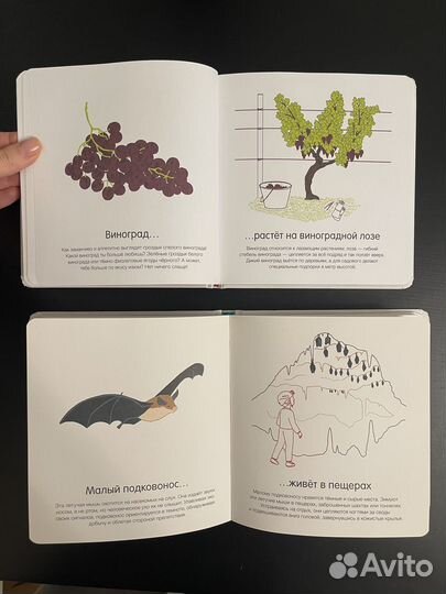 Детские редкие книги изд-ва миф Как они растут