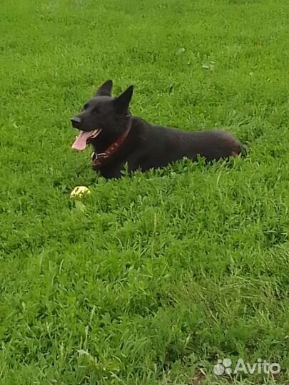 Кабель для вязки