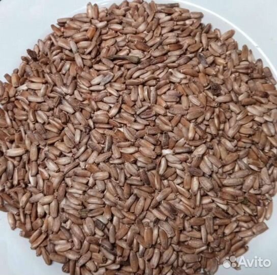 Жмых (лен, расторопша, тмин)