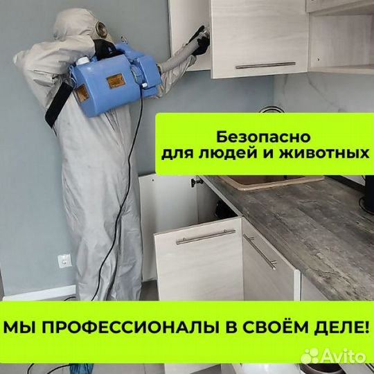 Уничтожение клопов, тараканов, кротов. Дезинфекция