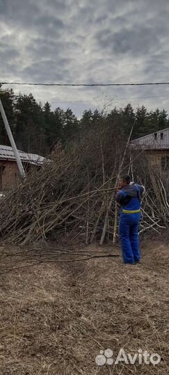 Спил деревьев расчистка участков