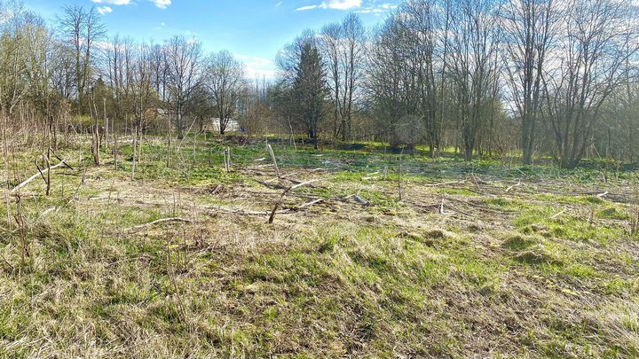 Участок 22 сот. (ИЖС)