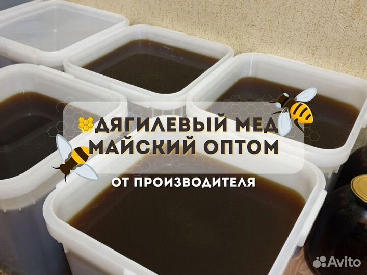 Мёд свежий Дягиль