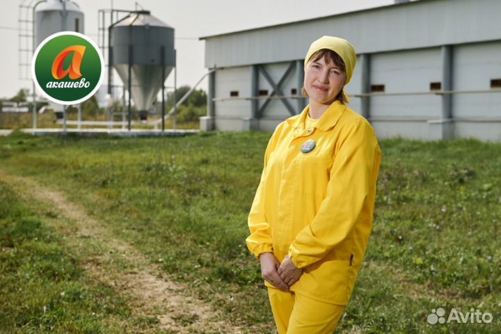 Оператор птицефабрик, п. Паганур