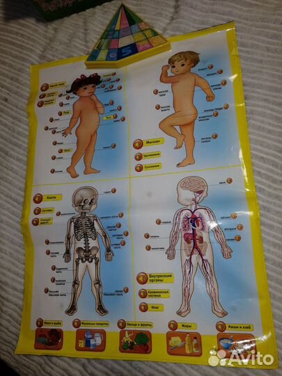 Говорящий плакат Календарь