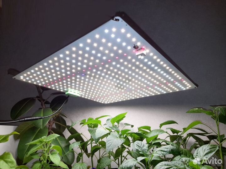 Профессиональная лампа для растений Quantum board