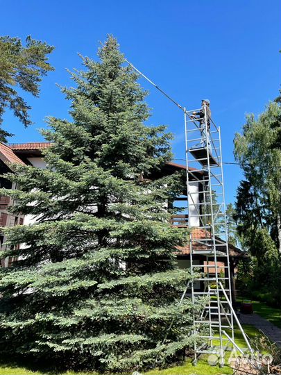 Уход за садом