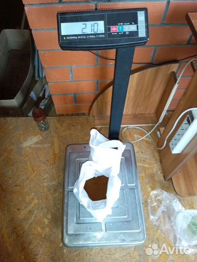 Чага березовая от сборщика