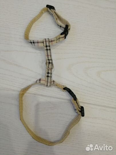 Поводки, шлейки и ошейники для собак и кошек